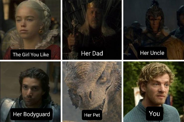 "House of the Dragon meme showing 'The Girl You Like' with her family and 'You' in humorous comparison."
