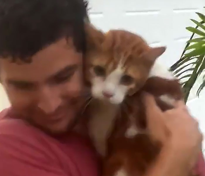 People Online Applaud Ordinary Heroes Who Risked Their Lives To Save Stranded Animals During Hurricane Ian