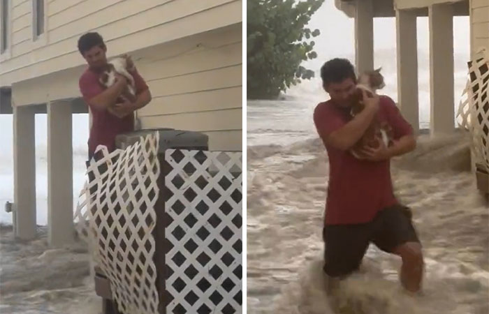 People Online Applaud Ordinary Heroes Who Risked Their Lives To Save Stranded Animals During Hurricane Ian