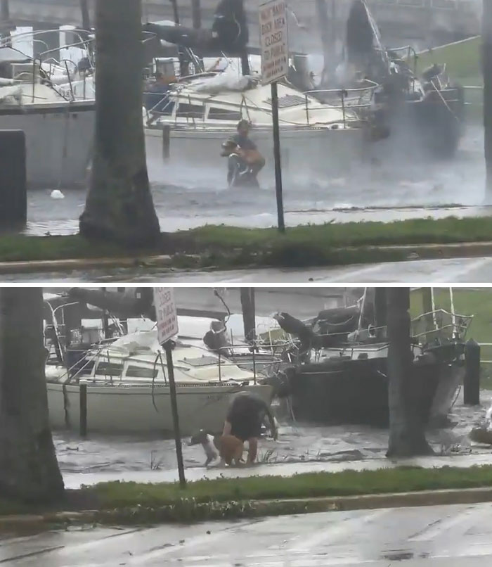 People Online Applaud Ordinary Heroes Who Risked Their Lives To Save Stranded Animals During Hurricane Ian