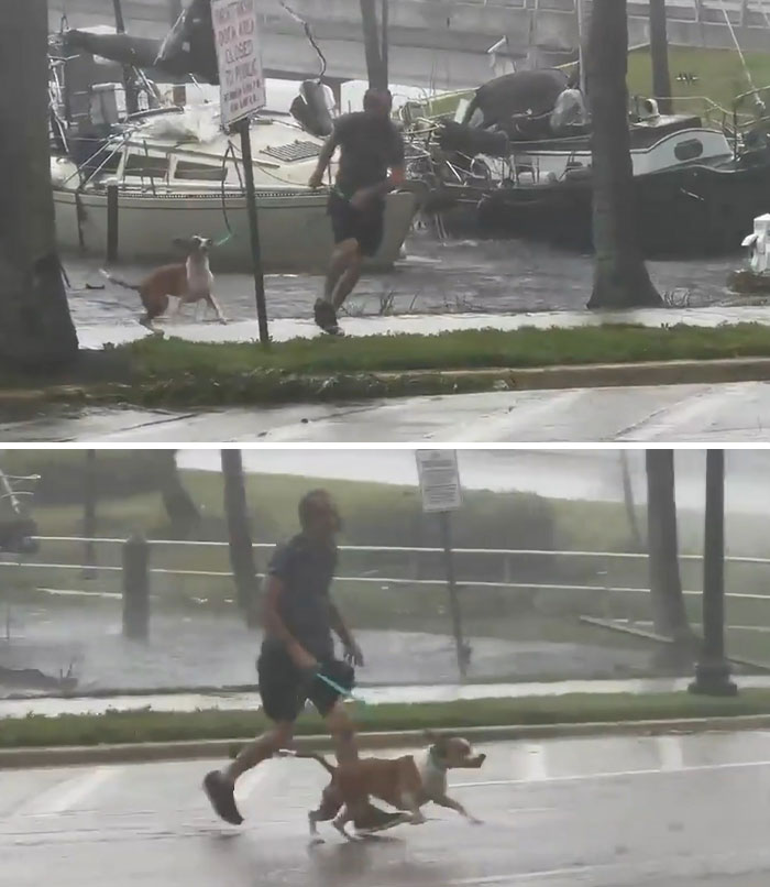 People Online Applaud Ordinary Heroes Who Risked Their Lives To Save Stranded Animals During Hurricane Ian