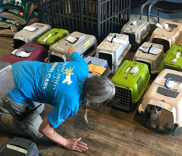 People Online Applaud Ordinary Heroes Who Risked Their Lives To Save Stranded Animals During Hurricane Ian