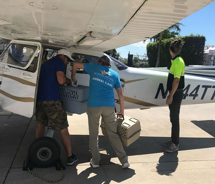 People Online Applaud Ordinary Heroes Who Risked Their Lives To Save Stranded Animals During Hurricane Ian