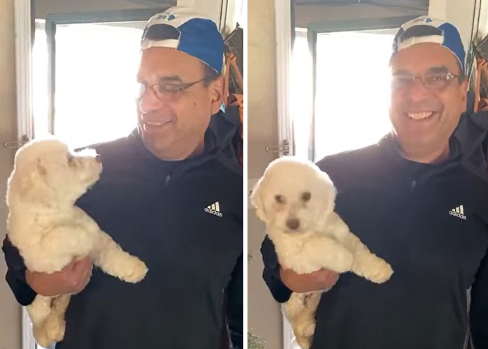 “He Had One Job!”: Husband Goes To Groomers, Comes Home With The Wrong Dog