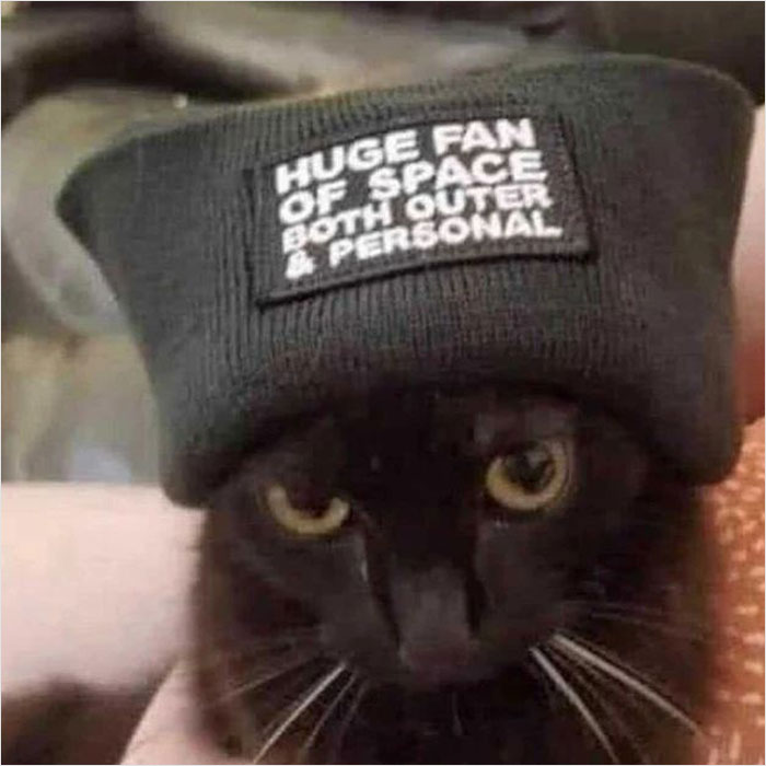 Cat wearing a hat labeled "Huge Fan Of Space," looking tired and overwhelmed.