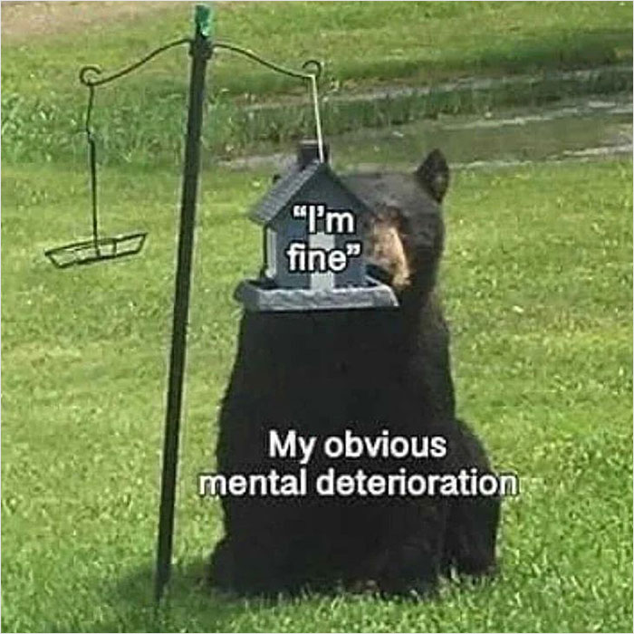 I-Am-Tired-Ok-Instagram