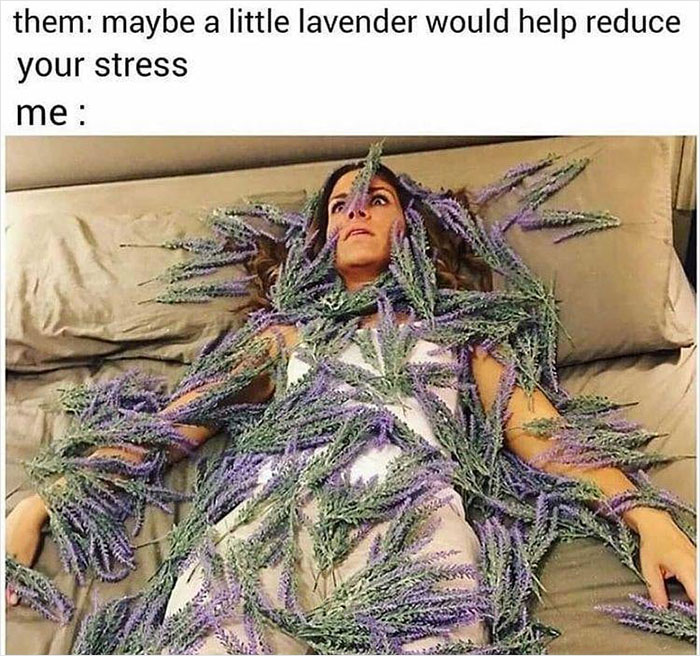 Tired woman overwhelmed, lying on bed covered in lavender, illustrating overwhelming life stress from memes.