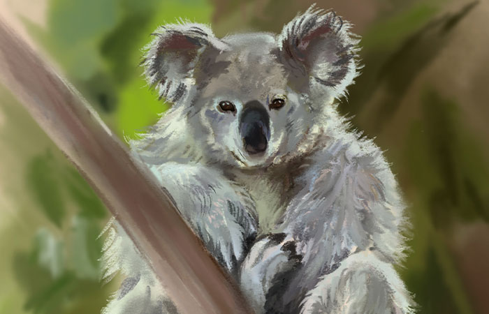 I Illustrated Animals In Their Natural Surroundings (19 Pics)