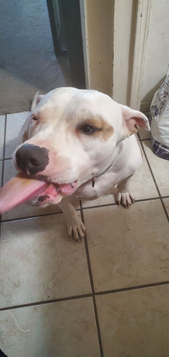 I Told Her Peanut Butter After The Picture