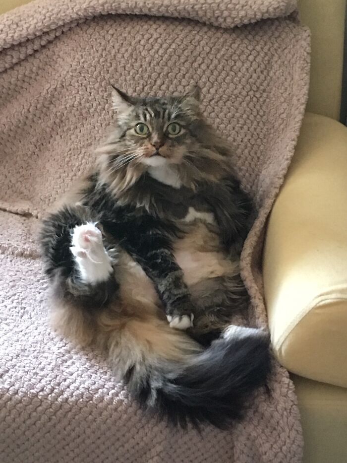 Definitely Caught Her Doing Something Suss!