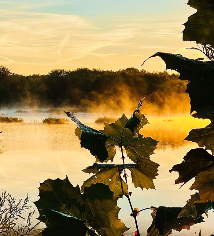 Sunrise Over The Embarras River