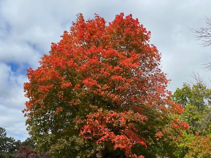 North Of Toronto Canada
