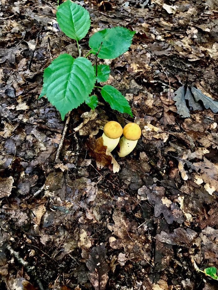 Cluj-Napoca, Romania