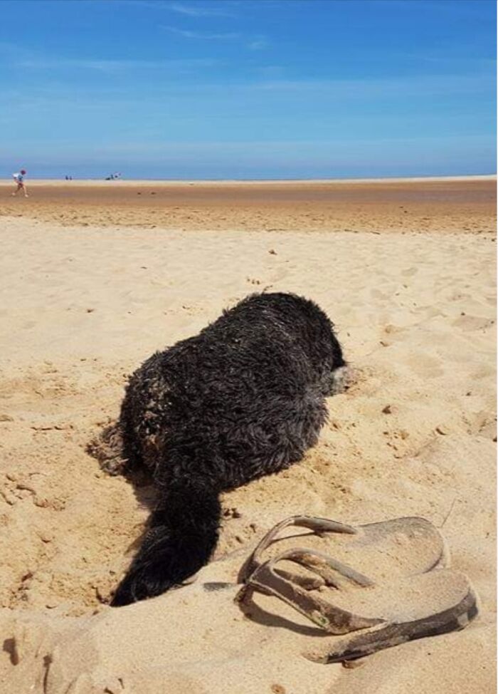 My Gorgeous Girl On My Favourite Beach