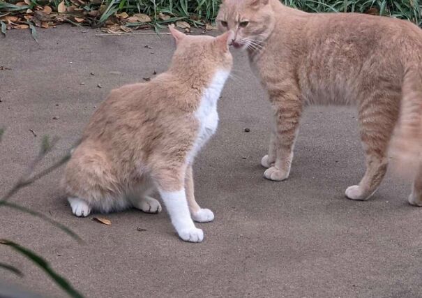 Having A Private Conversation