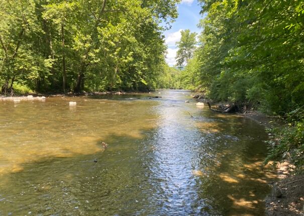 No Traffic, No People