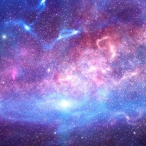 ta-na-warrens1329 avatar