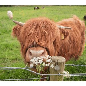 emilyjeansmith12 avatar