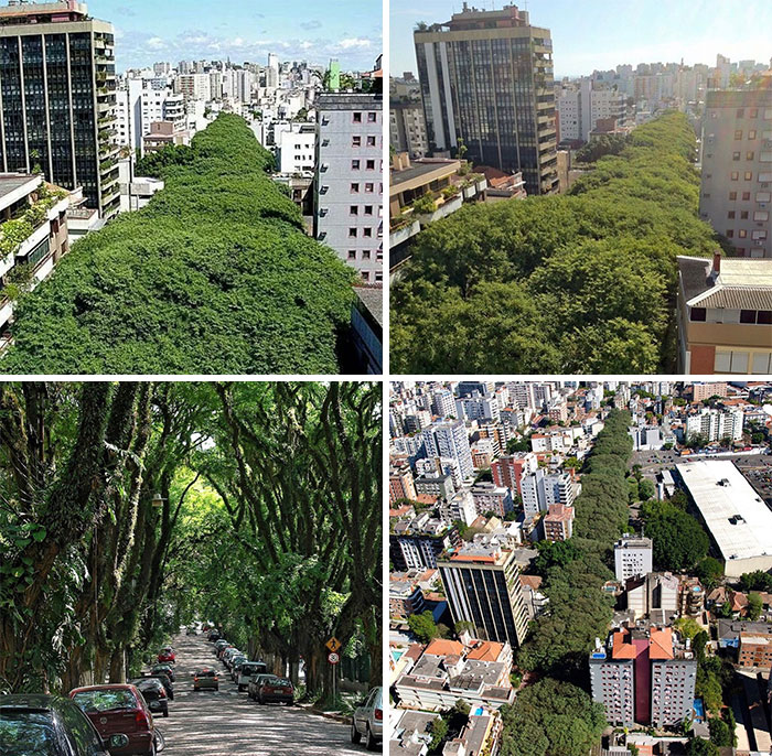 Incredible-Design-Somewhere-I-Would-Like-To-Live