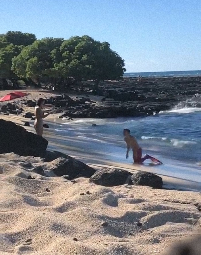 Imágenes desclasificadas del proceso de evolución