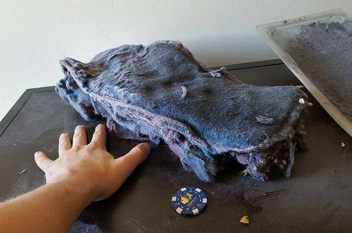 My New Roommates Don't Know What A Lint Trap Is