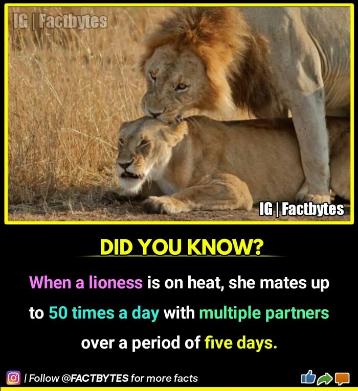 Interesting-Facts-Factbytes