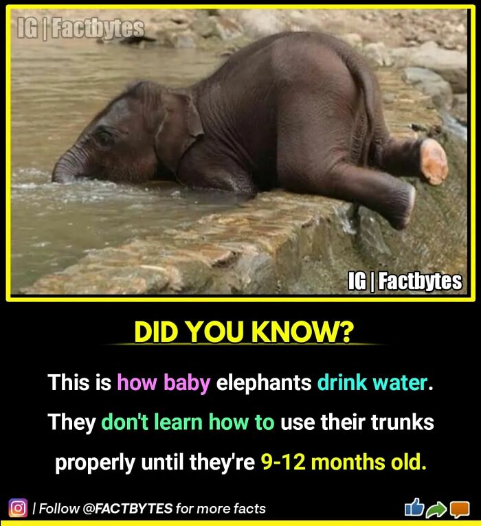 Interesting-Facts-Factbytes