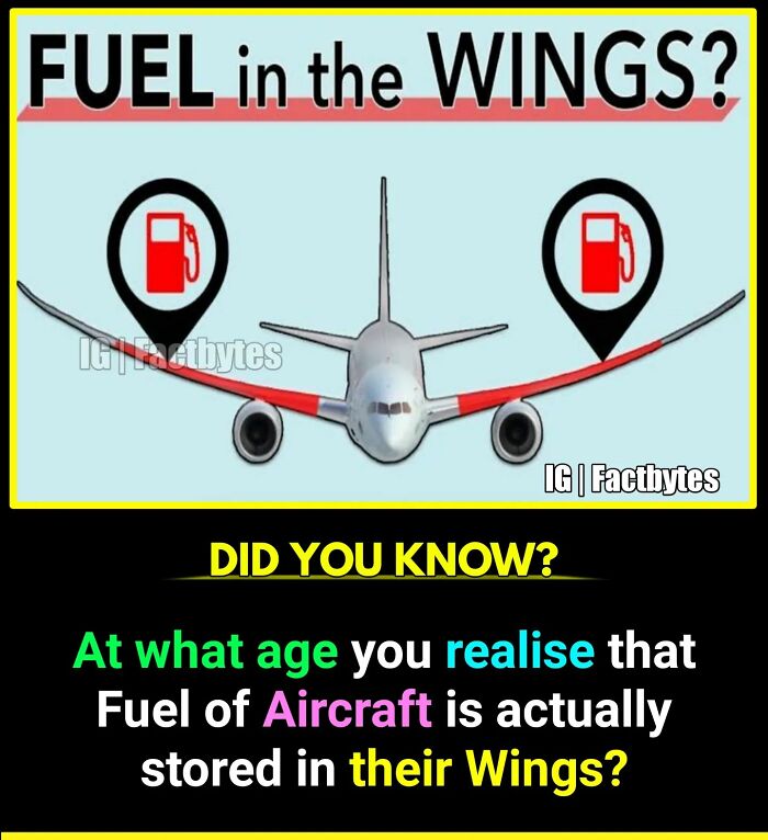 Interesting-Facts-Factbytes