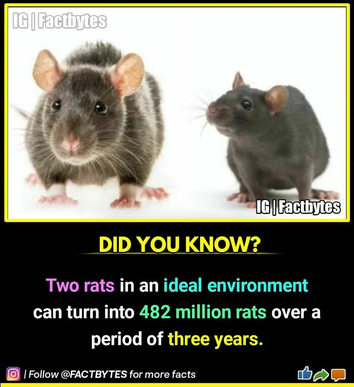 Interesting-Facts-Factbytes