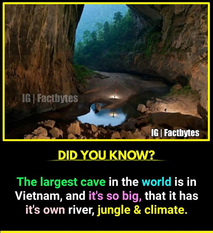 Interesting-Facts-Factbytes