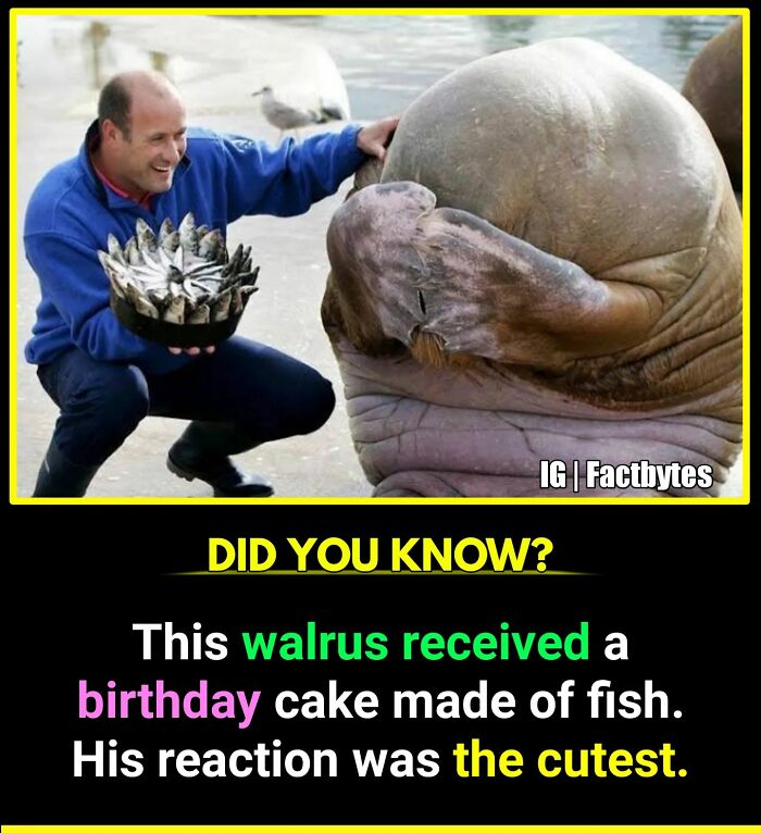 Interesting-Facts-Factbytes