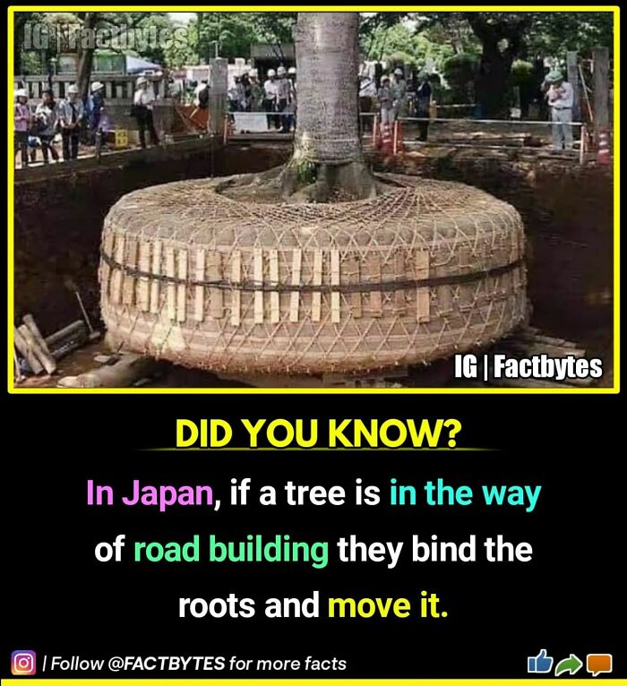 Interesting-Facts-Factbytes