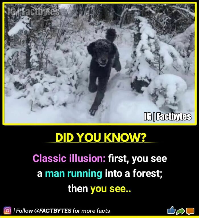 Interesting-Facts-Factbytes