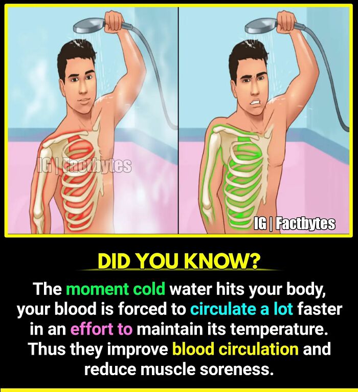 Interesting-Facts-Factbytes