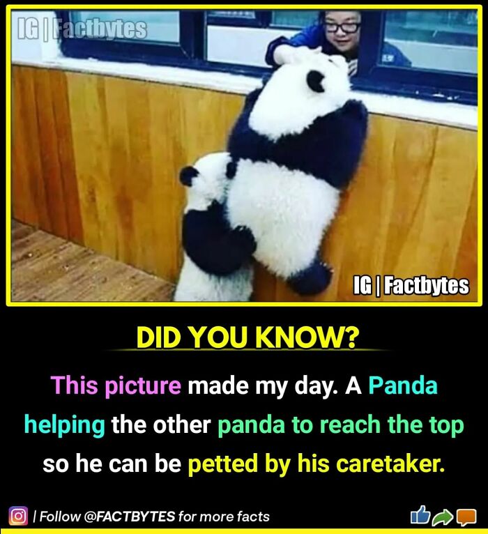 Interesting-Facts-Factbytes