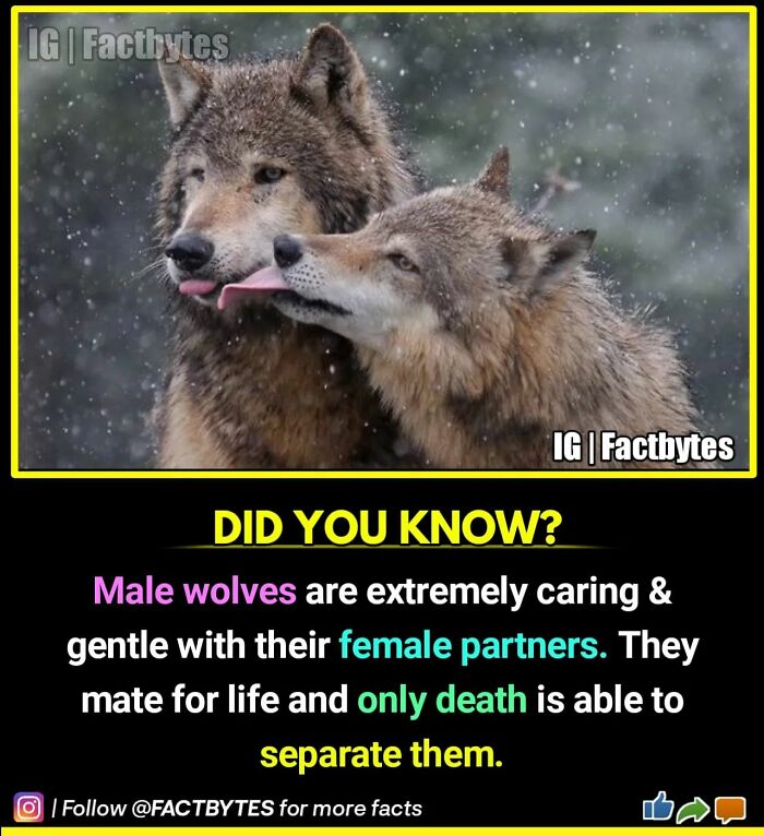 Interesting-Facts-Factbytes