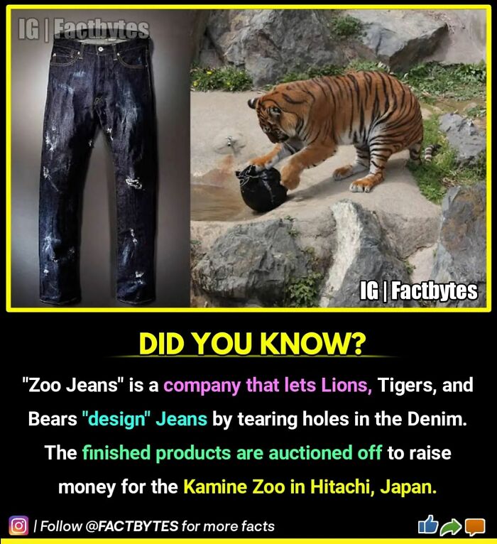 Interesting-Facts-Factbytes