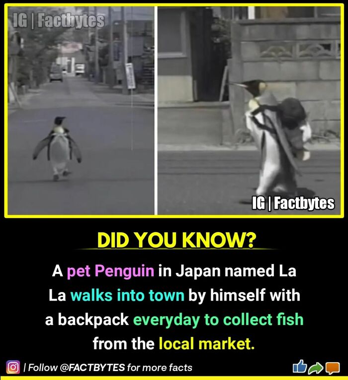 Interesting-Facts-Factbytes