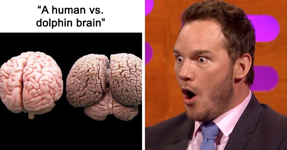 43 Interesting Facts About The World Shared In A Cool Twitter Thread