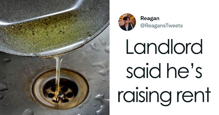 50 Times Landlords Were So Terrible, They Got Shamed In This Online Community (New Pics)