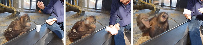 Reacting To Magic Trick