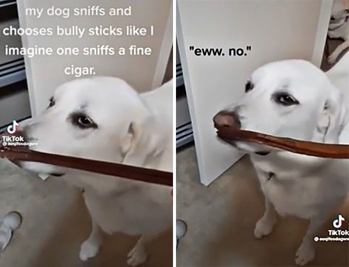 Only Want That Grade A Stuff