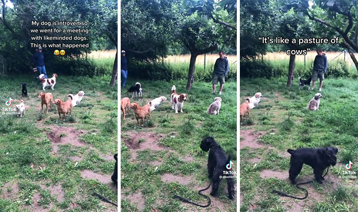 Like Me And My Friends