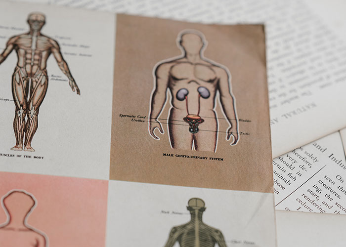 MIL Is Furious At Son's Wife For Expecting A Girl Instead Of A Boy, Drama Ensues