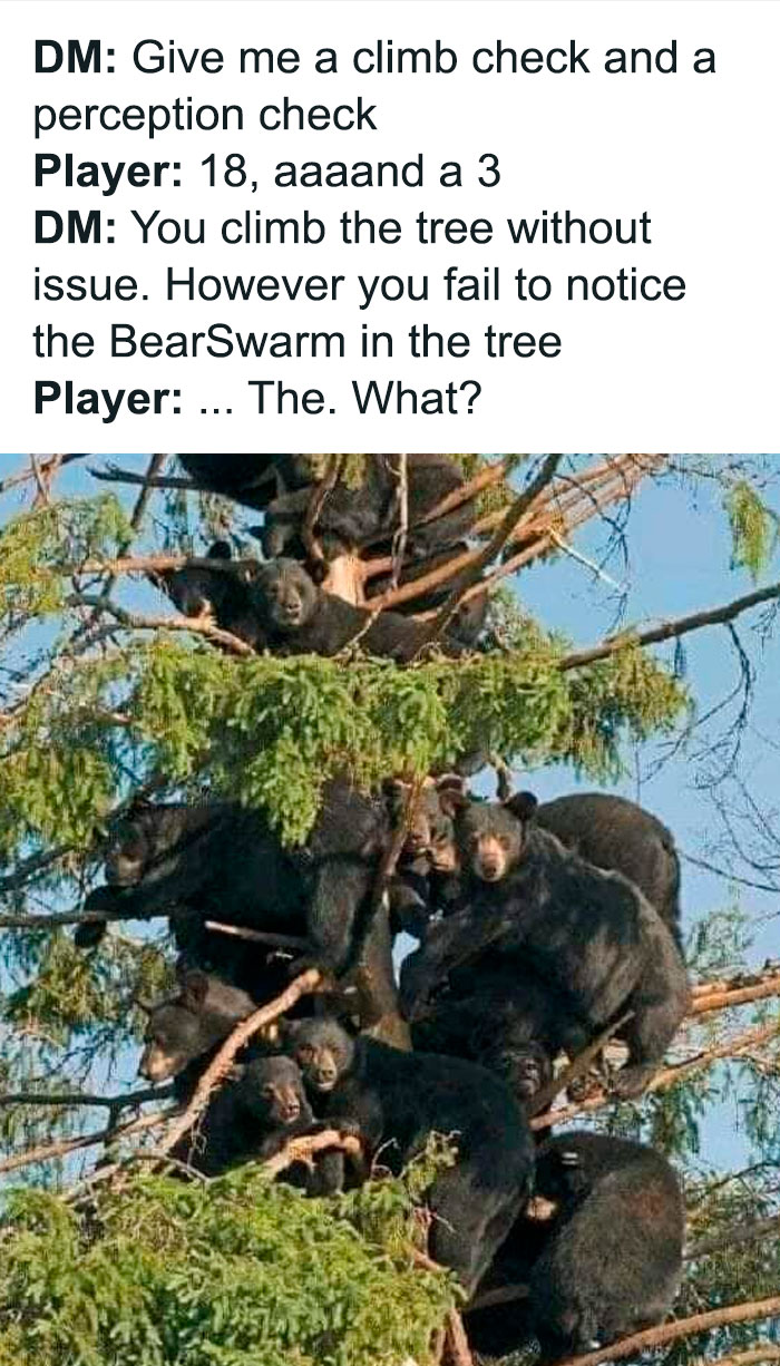 Mischievous-Animal-Memes