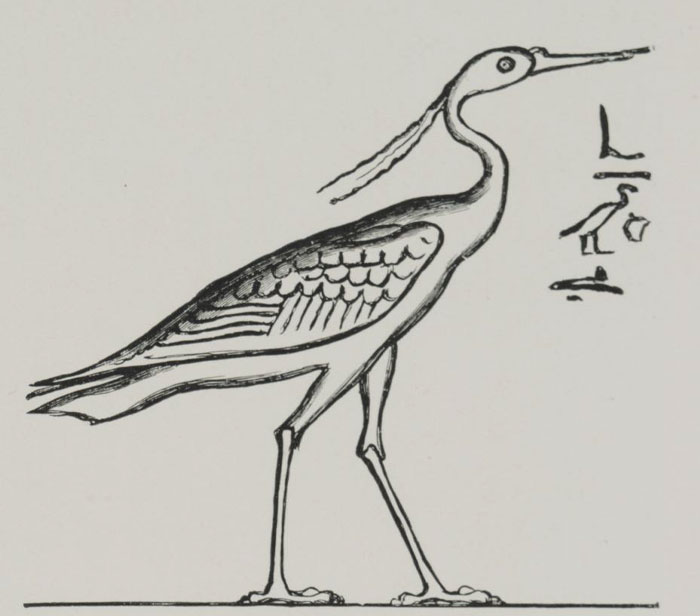 Painting of Bennu bird 