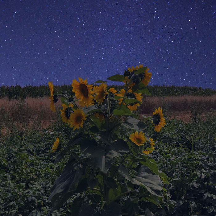 I Photographed This Ukrainian Village Because It Is My Solace That Inspires Me (30 pics)