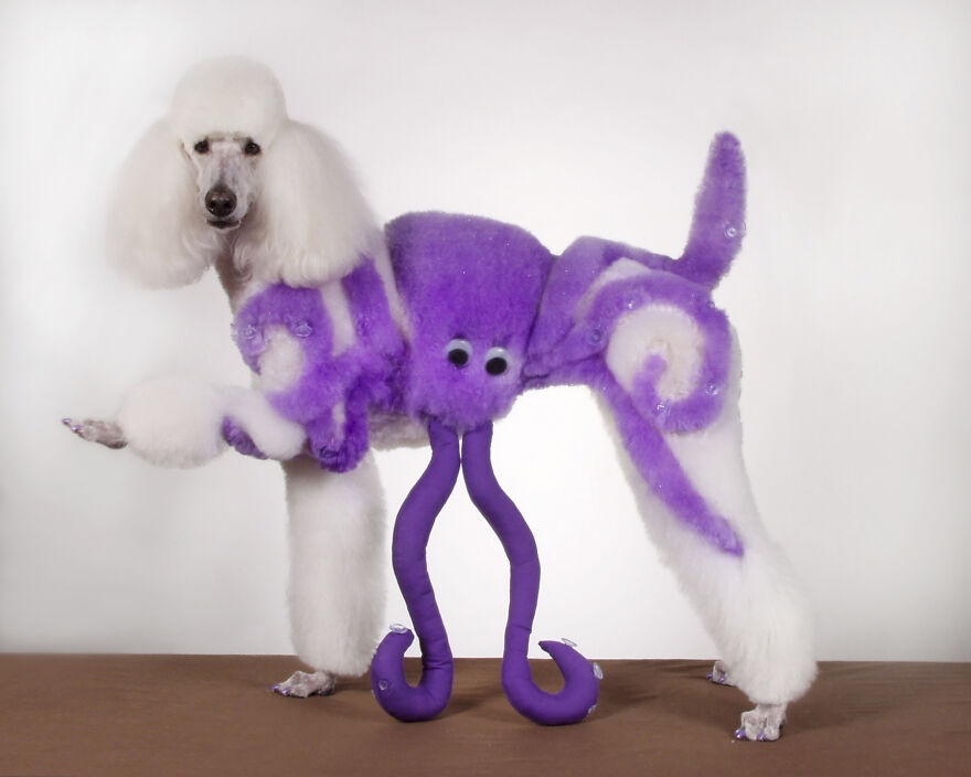 Alf, Mickey And The Other Dogs (2023)