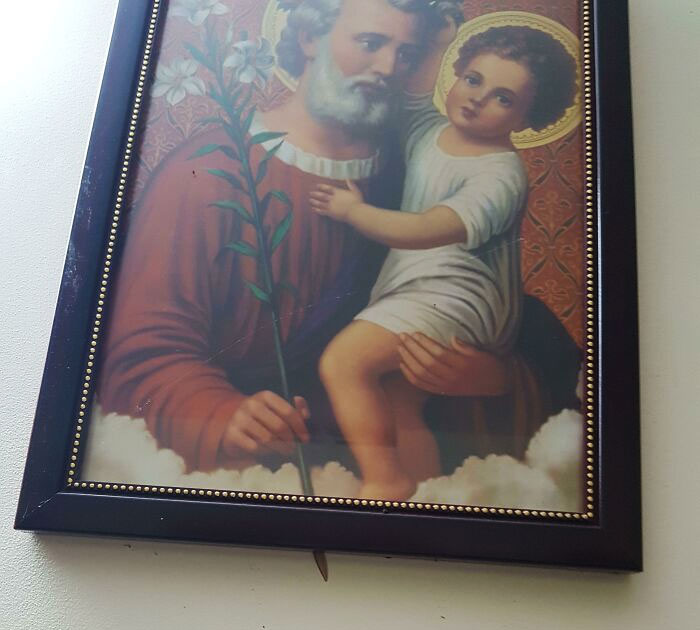 This Moth That Lined Up Perfectly With The Bottom Of This Photo