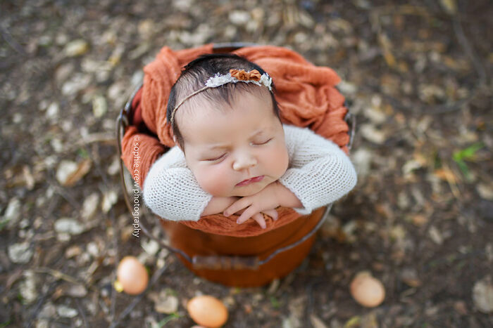 I Held A Newborn Photoshoot On A Family Farm With The Farm Animals, And Here Are The Results (6 Pics) I Held A Newborn Photoshoot On A Family Farm With The Farm Animals, And Here Are The Results (6 Pics)